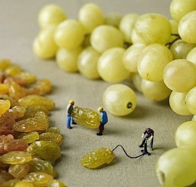 Savez-vous comment on fabrique du raisin?