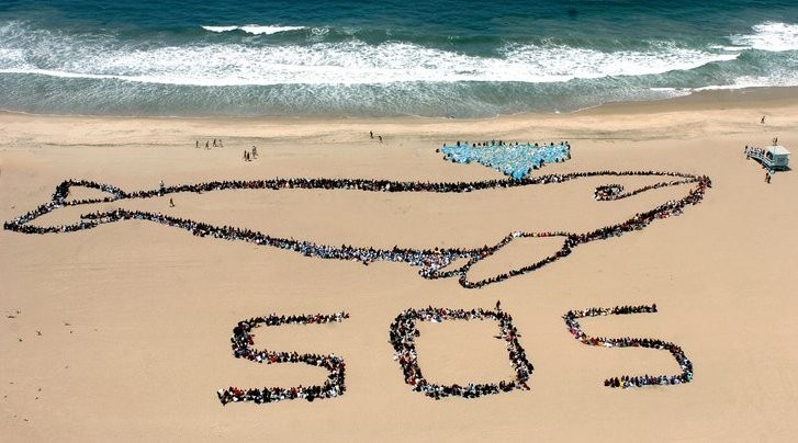 Ils s'y sont mis à plusieurs pour faire passer le message, alors sauvons les baleines :)