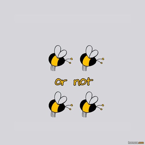 Une abeille ça se dit en anglais a bee. Voici l'illustration de la plus célèbre phrase de Shakespear : 2 bee or not 2 bee. Bon, la traduction ne veut plus rien dire : Deux abeilles ou pas deux abeilles.