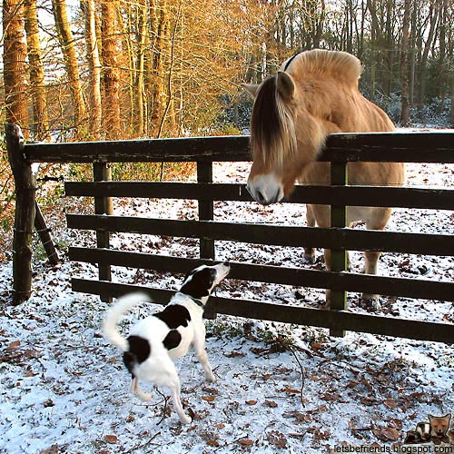 Woaf ! Il est grand ce copain chien...