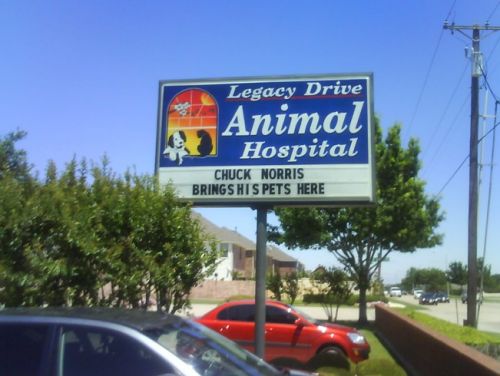 Voici une clinique vétérinaire qui doit assurer ! Chuck Norris y amène ses animaux !