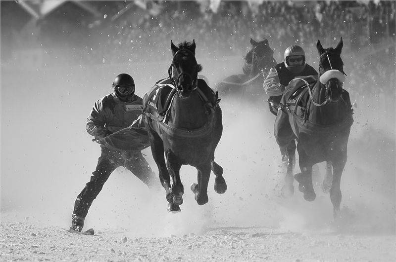 Après les courses de trots attelés, voici les courses skiées. Rassurez vous, ce ne sont pas les chevaux qui sont à skis.