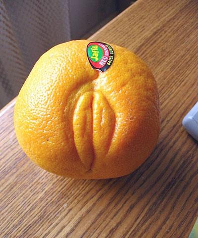 Si vous vous demandez si les oranges sont mâles ou femelles, voici un spécimen qui est surement femelle !