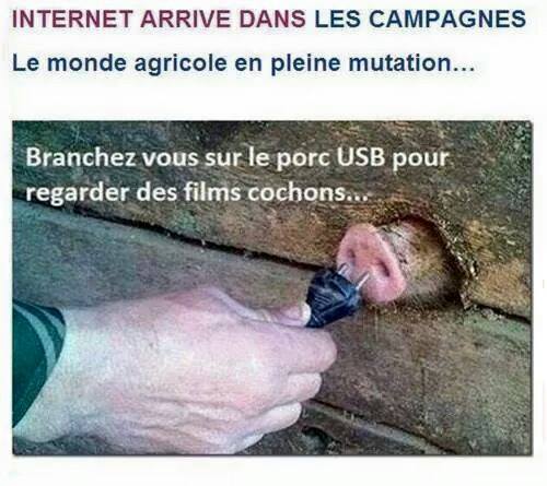 Internet arrive dans les campagnes : Il faut se brancher sur le porc USB pour regarder des films cochons. height=