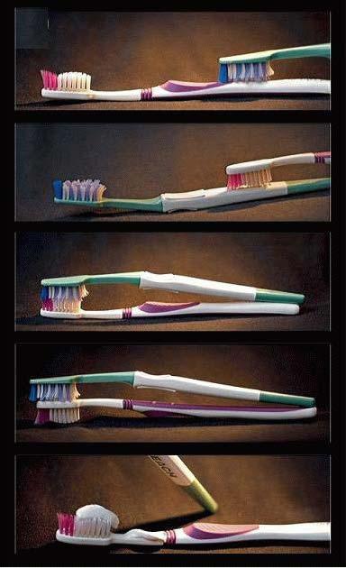 Vous vous êtes toujours demandé comment se reproduissent les brosses à dents ? Voici la réponse ! height=