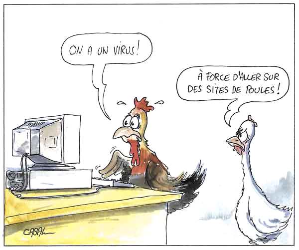Les poulets doivent prévoir de bons anti-virus quand ils surfent sur Internet...