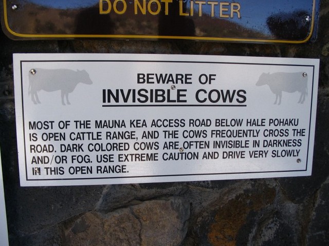 Attention aux vaches invisibles ! Il se peut que des vaches invisibles traversent la route. Roulez prudemment height=