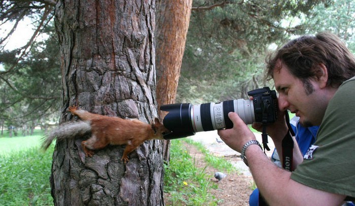 J'espère que le photographe a un bon zoom car l'écureuil me semble un poil trop près. height=